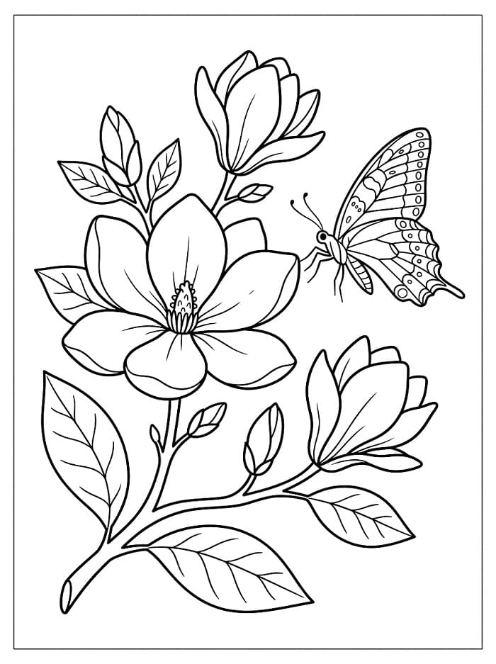 Coloriage Papillon et magnolia