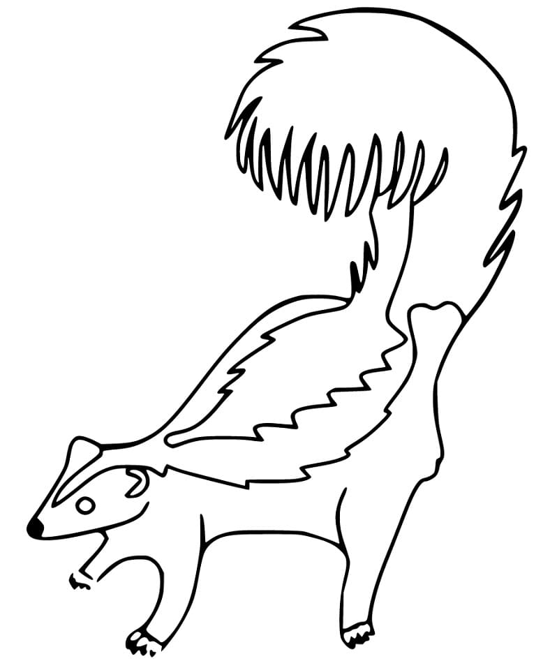 Coloriage Skunk ordinaire