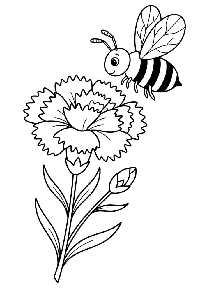 Coloriage Abeille et œillet