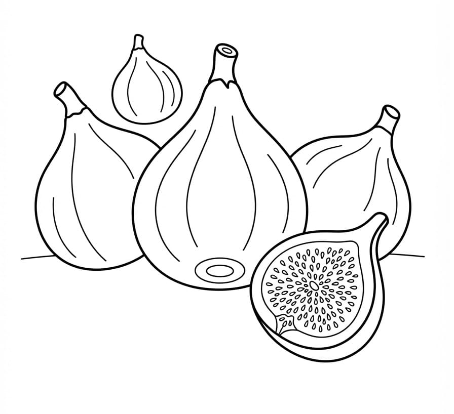 Coloriage Beaucoup de figues