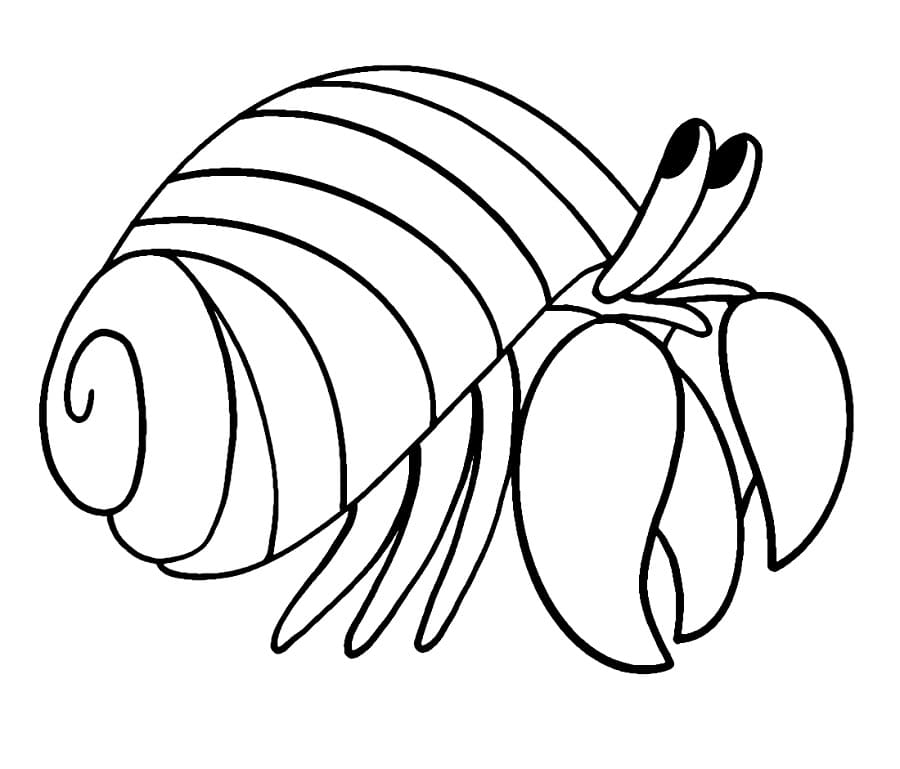 Coloriage Bernard-l'ermite Imprimable Gratuit Pour les Enfants