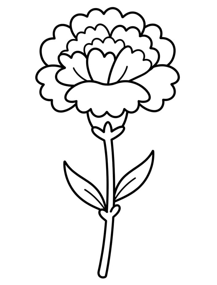 Coloriage Charmant œillet