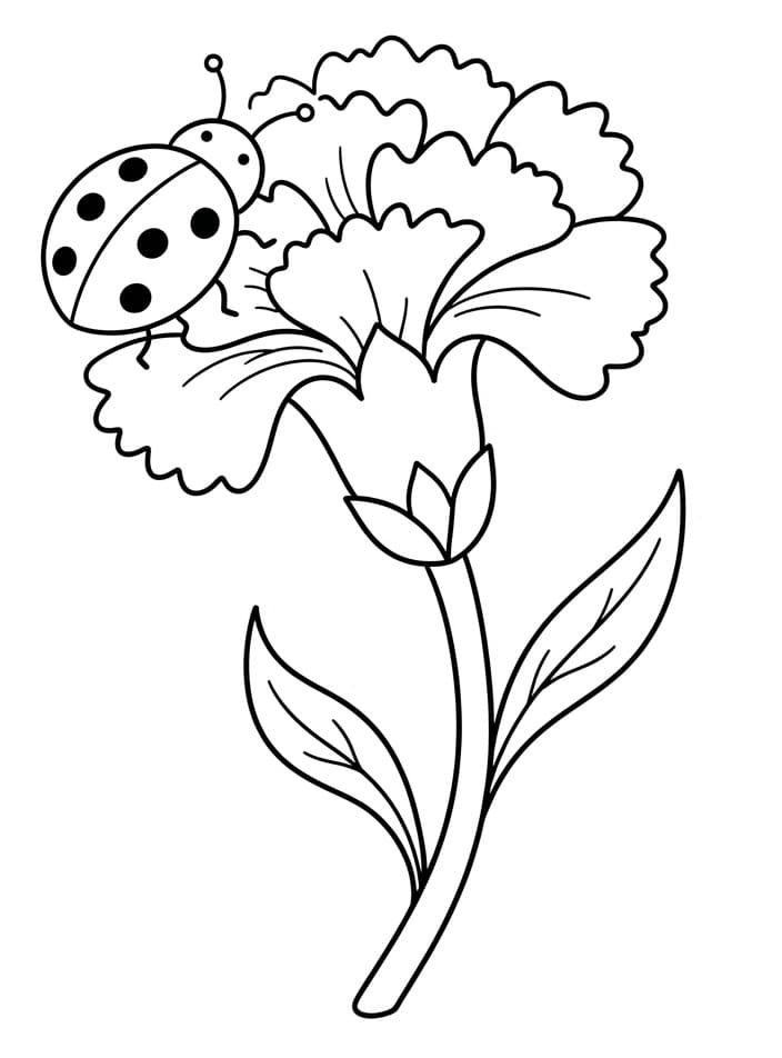 Coloriage Coccinelle avec œillet