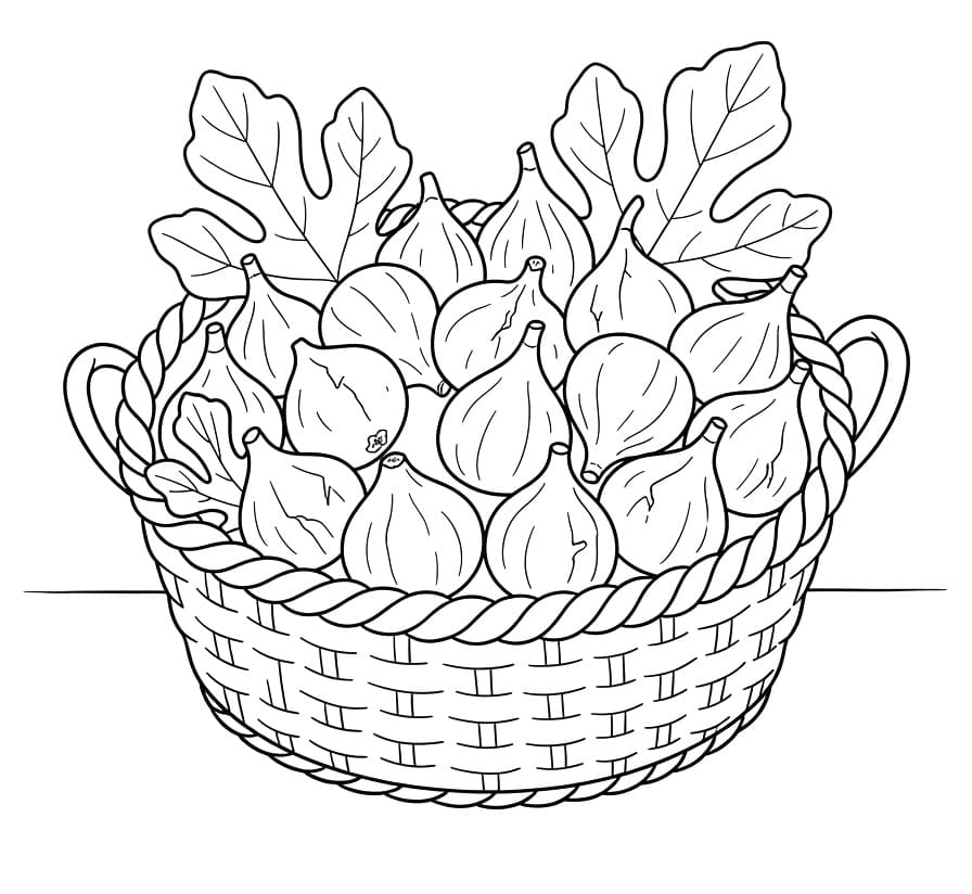 Coloriage Corbeille de figues