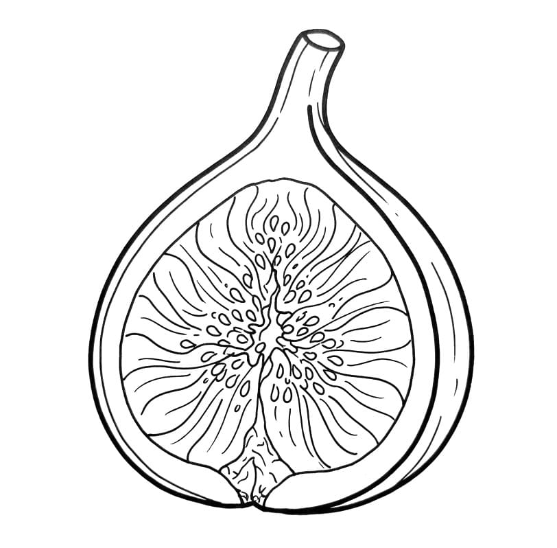 Coloriage Demi-figue