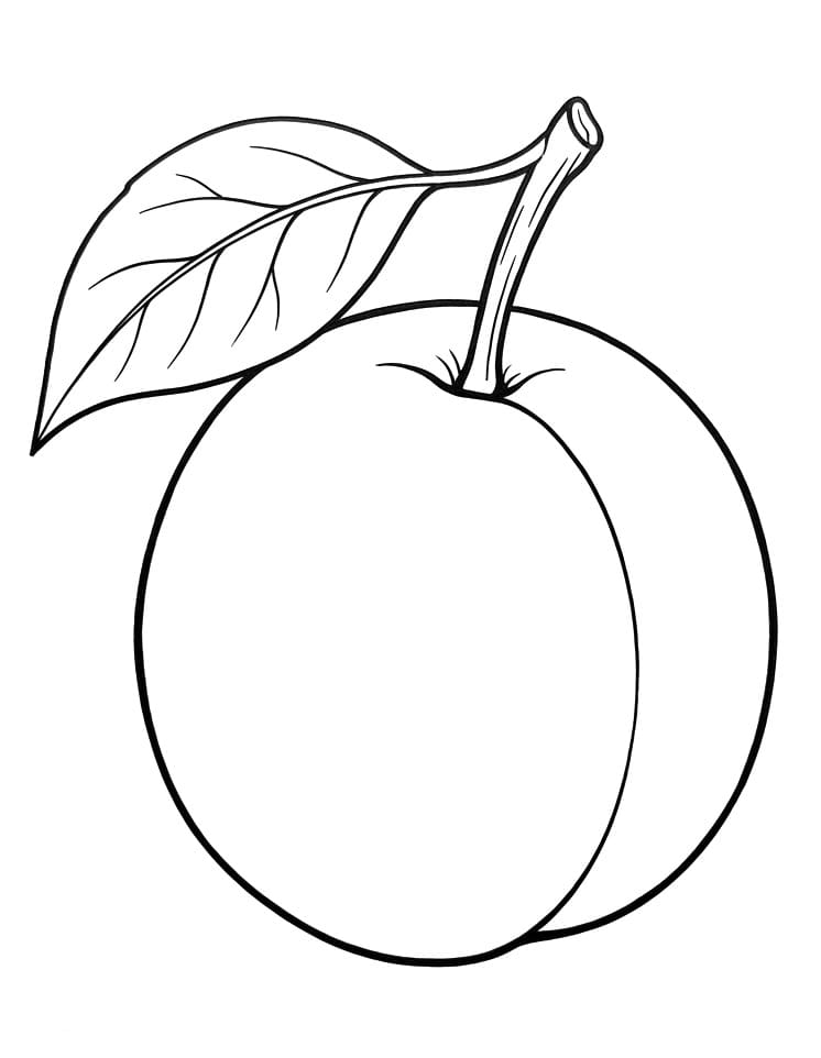 Coloriage Dessin de Prune Gratuit