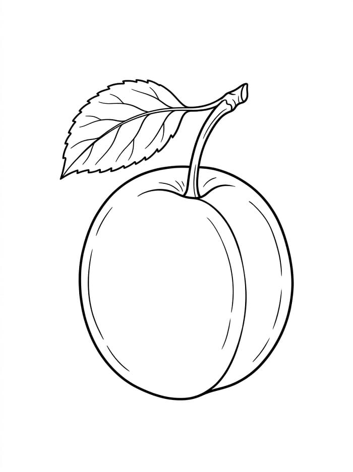 Coloriage Dessin de Prune