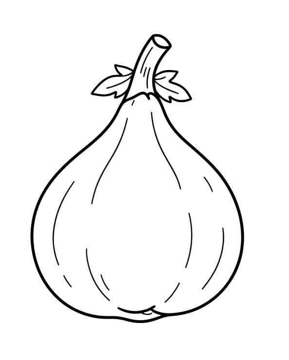 Coloriage Dessin gratuit de figue