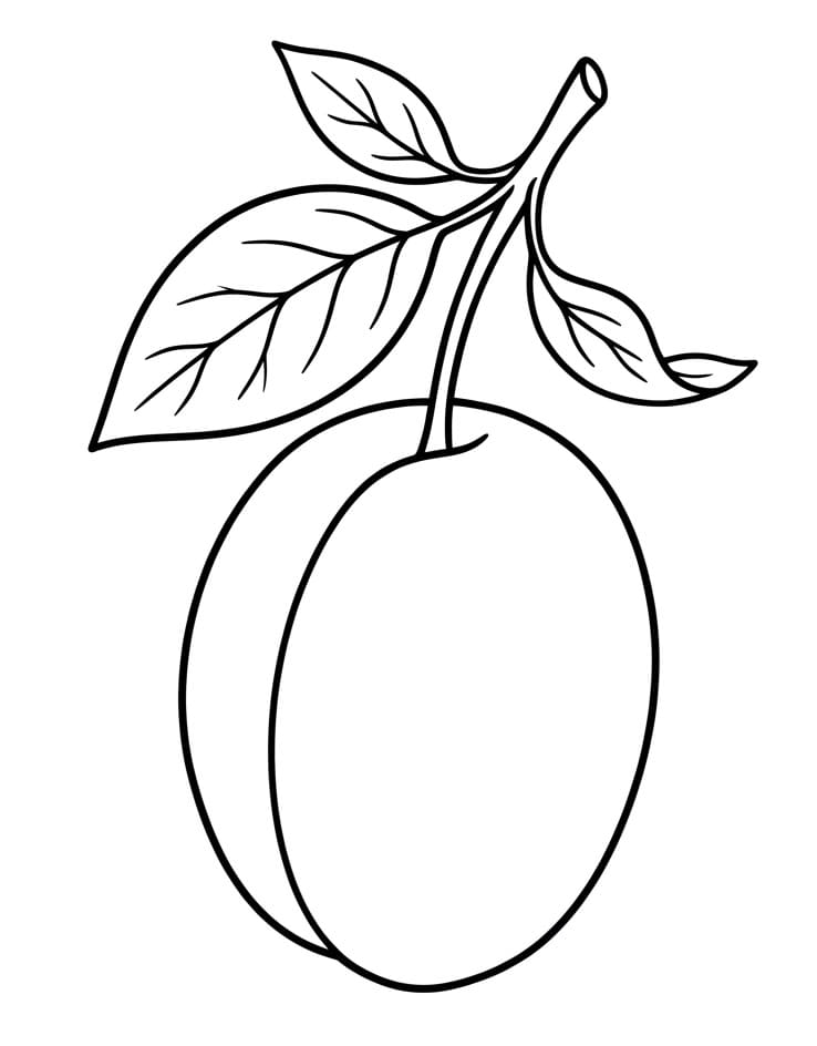 Coloriage Dessin Gratuit de Prune