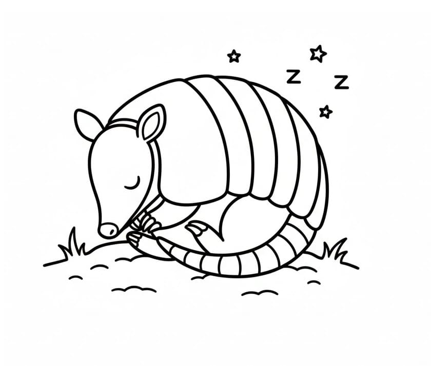 Coloriage Dessin Gratuit de Tatou