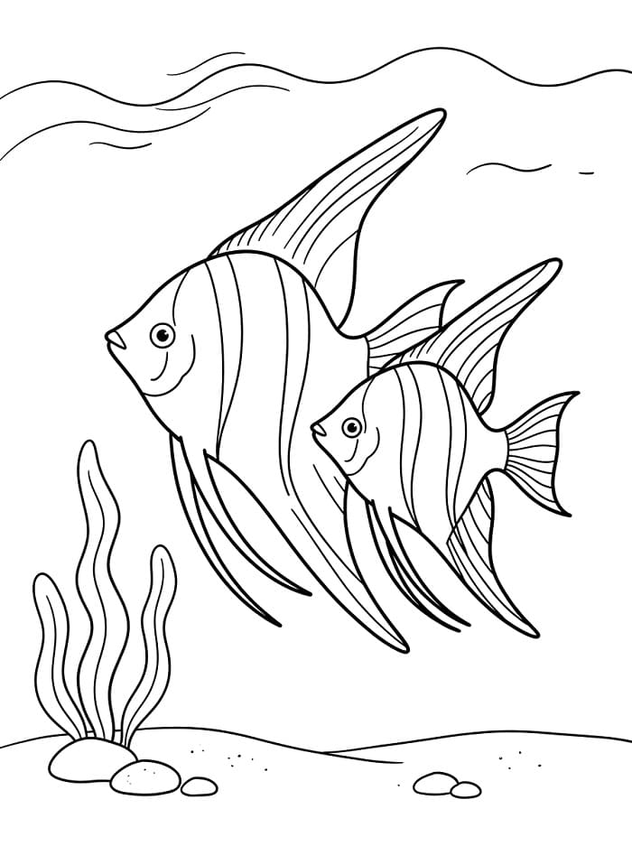 Coloriage Deux poissons-anges