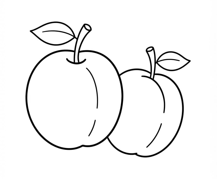 Coloriage Deux prunes faciles