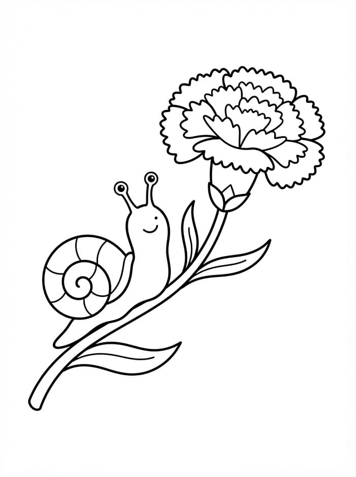 Coloriage Escargot et œillet