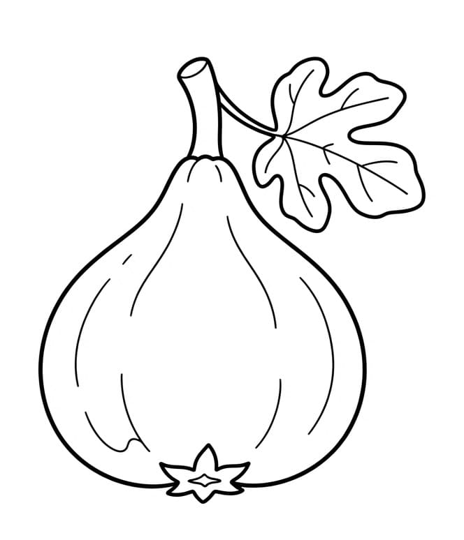 Coloriage Figue facile