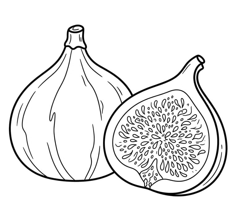 Coloriage Figue Imprimable Pour les Enfants