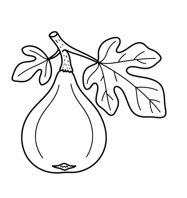 Coloriage Figue Pour les Enfants