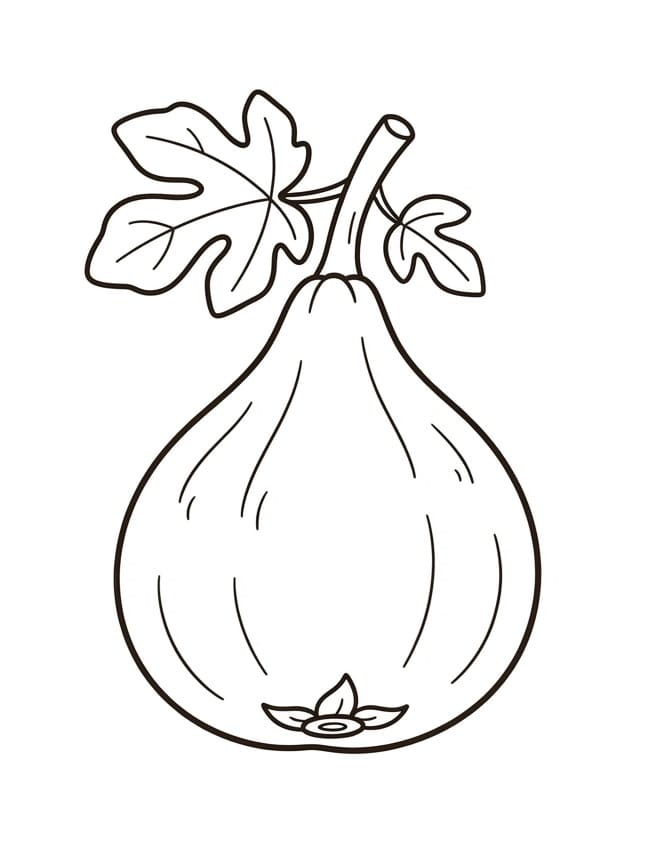 Coloriage Figue