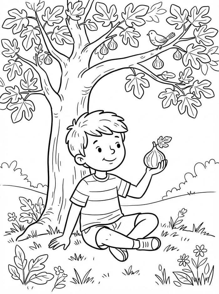 Coloriage Garçon et figue