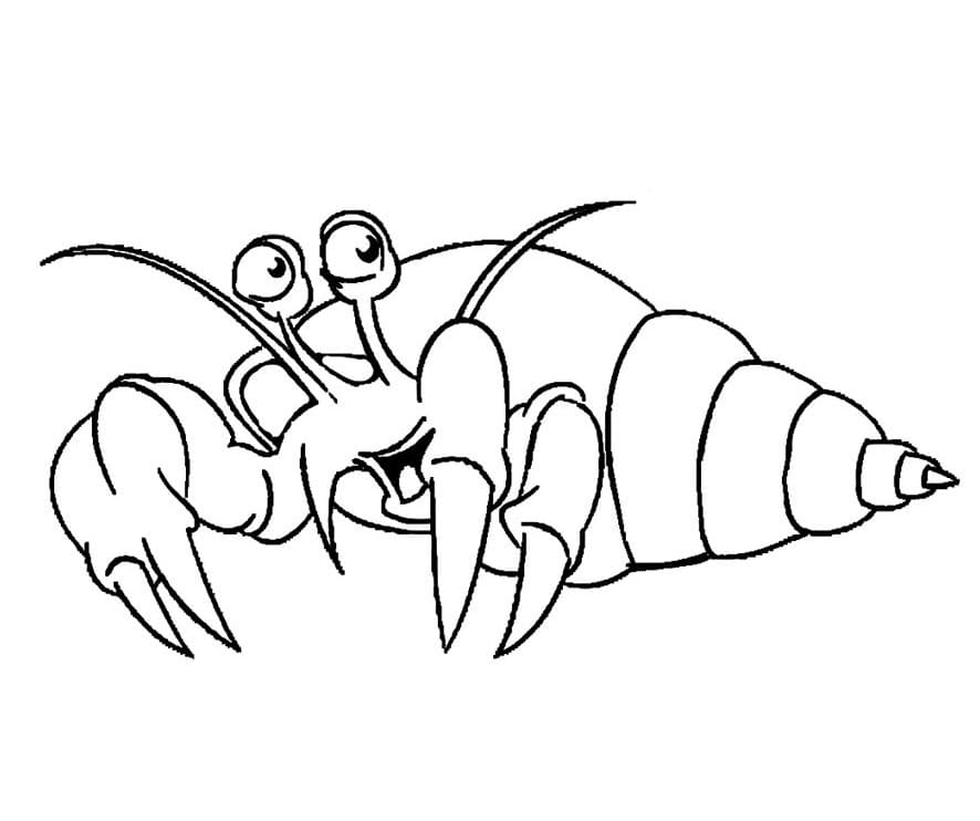 Coloriage Gratuit Bernard-l'ermite Pour les Enfants