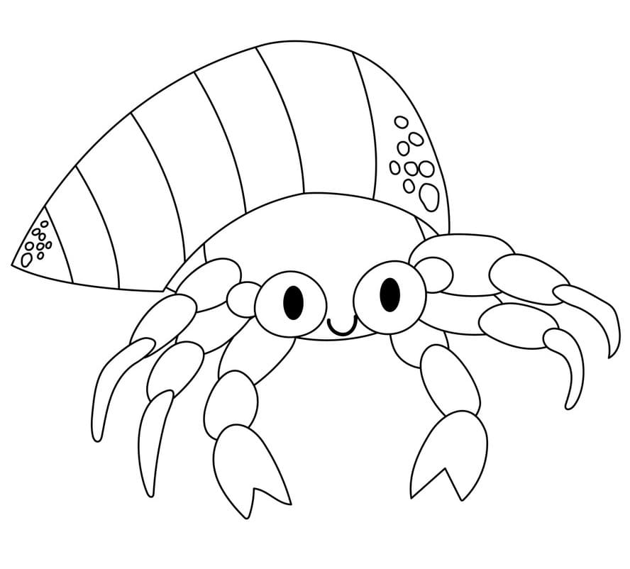 Coloriage Imprimable Bernard-l'ermite