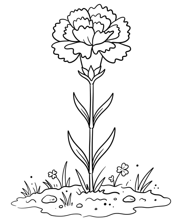 Coloriage Joli œillet
