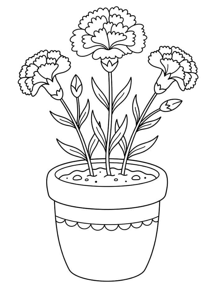 Coloriage Magnifique pot d'œillets