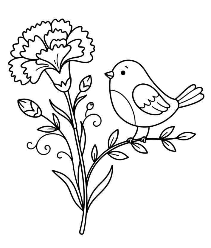 Coloriage Œillet et oiseau