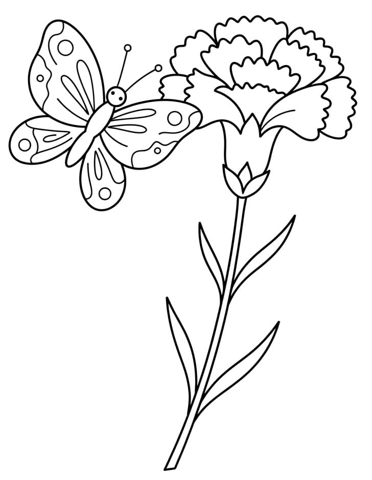 Coloriage Papillon avec œillet