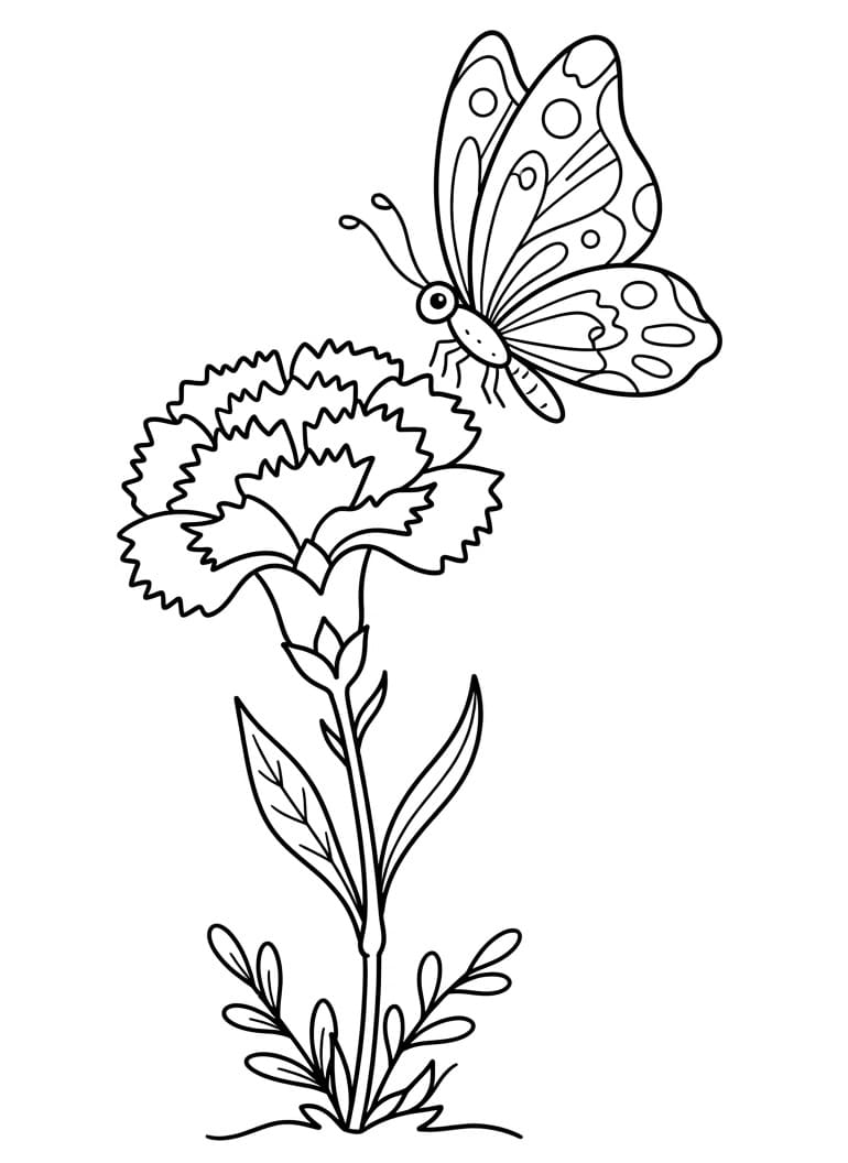 Coloriage Papillon et œillet