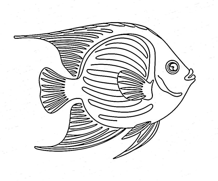 Coloriage Poisson-ange Gratuit Pour les Enfants