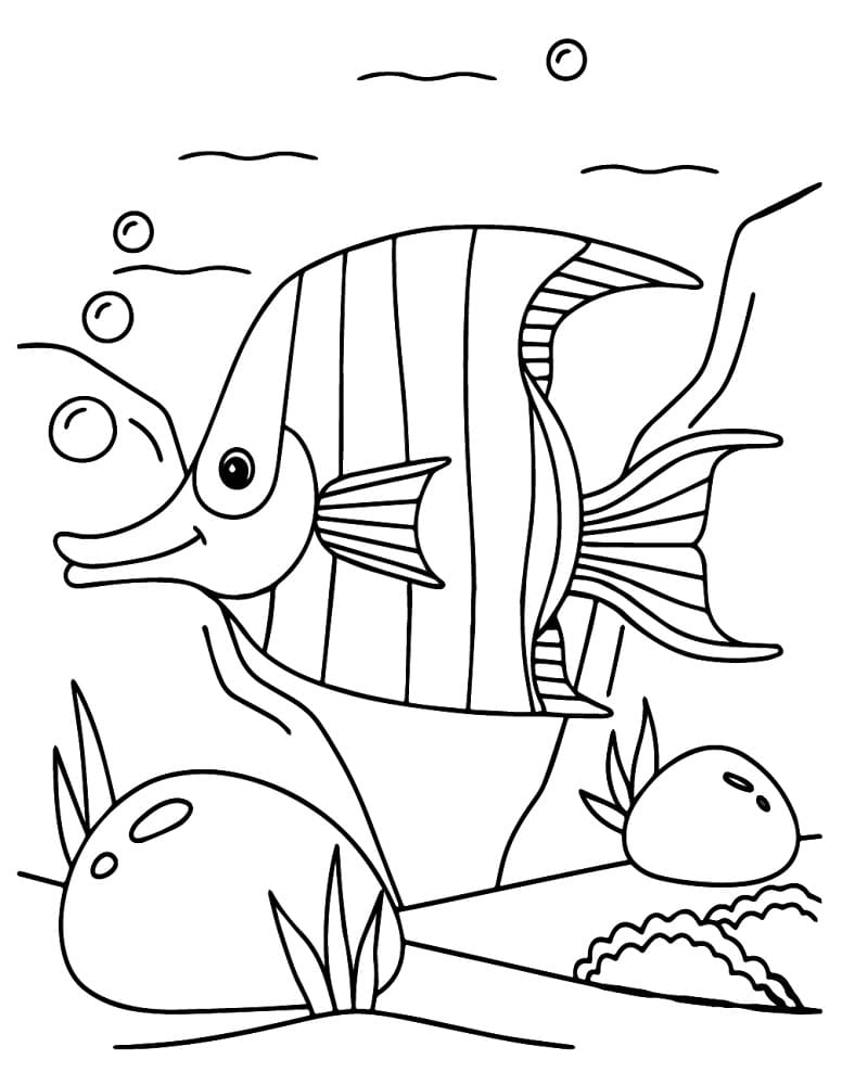 Coloriage Poisson-ange Gratuit