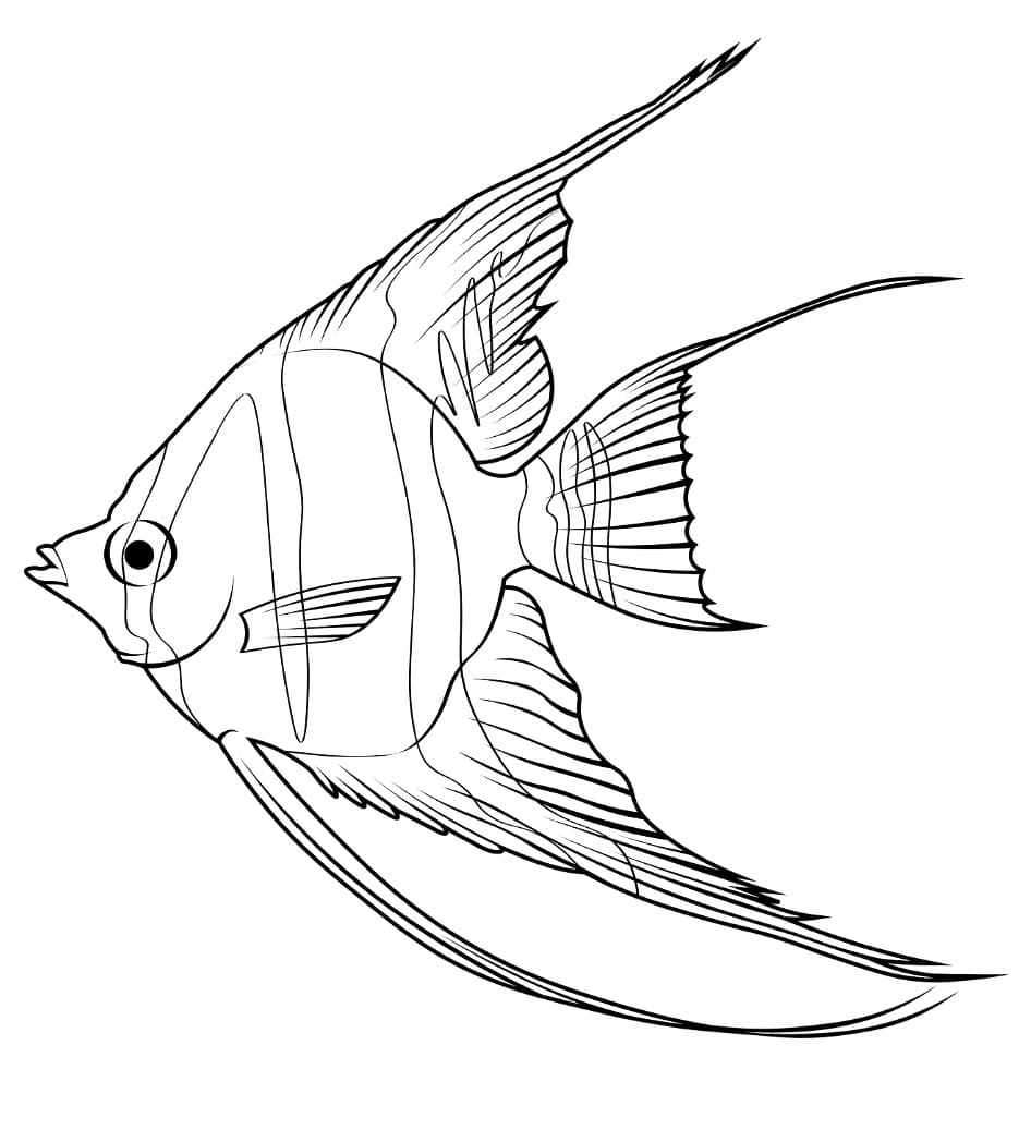 Coloriage Poisson-ange Imprimable Pour les Enfants
