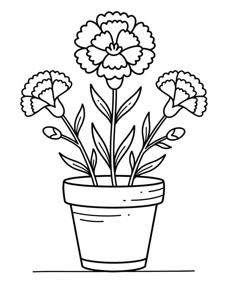 Coloriage Pot d'œillets