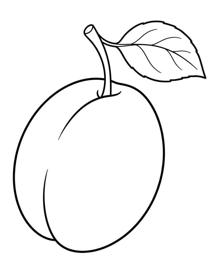 Coloriage Prune facile