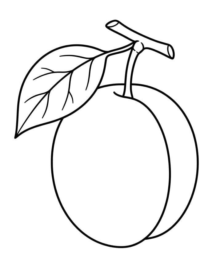 Coloriage Prune fraîche