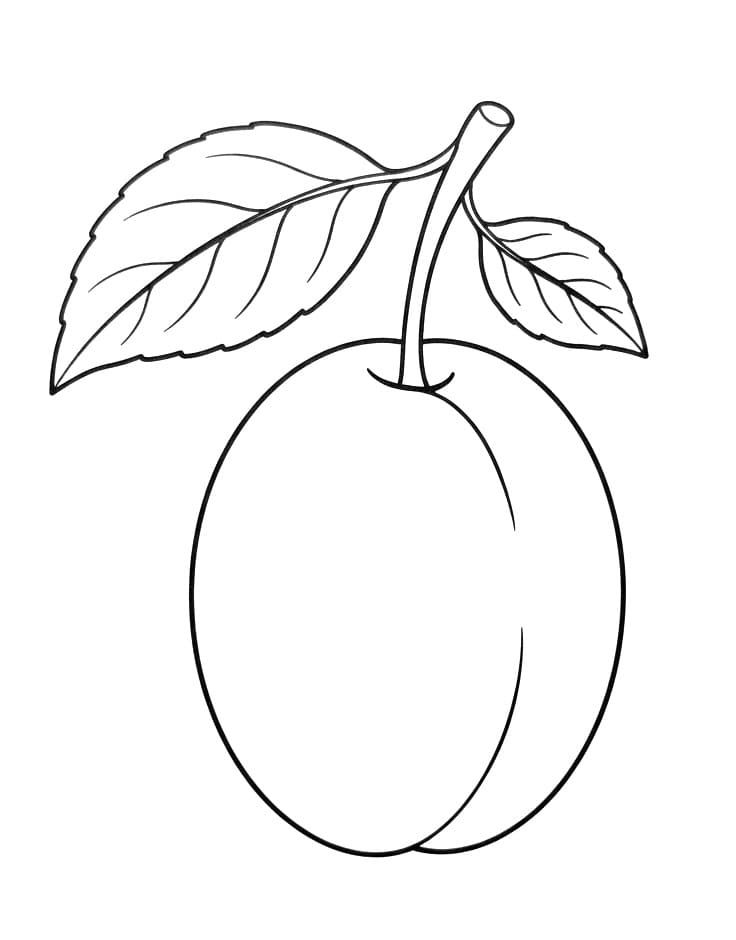 Coloriage Prune simple