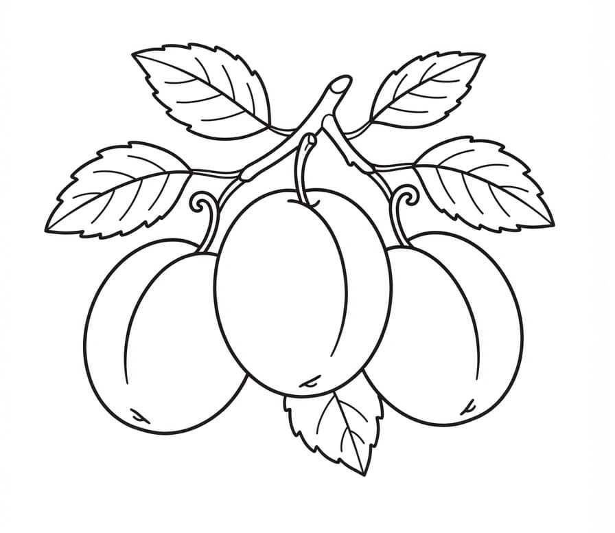 Coloriage Prunes sur une branche