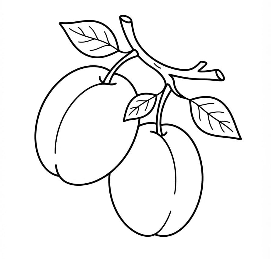 Coloriage Prunes