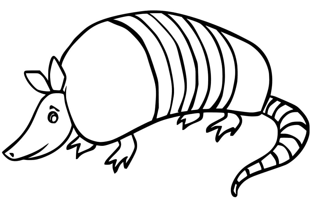 Coloriage Tatou Gratuit Pour les Enfants