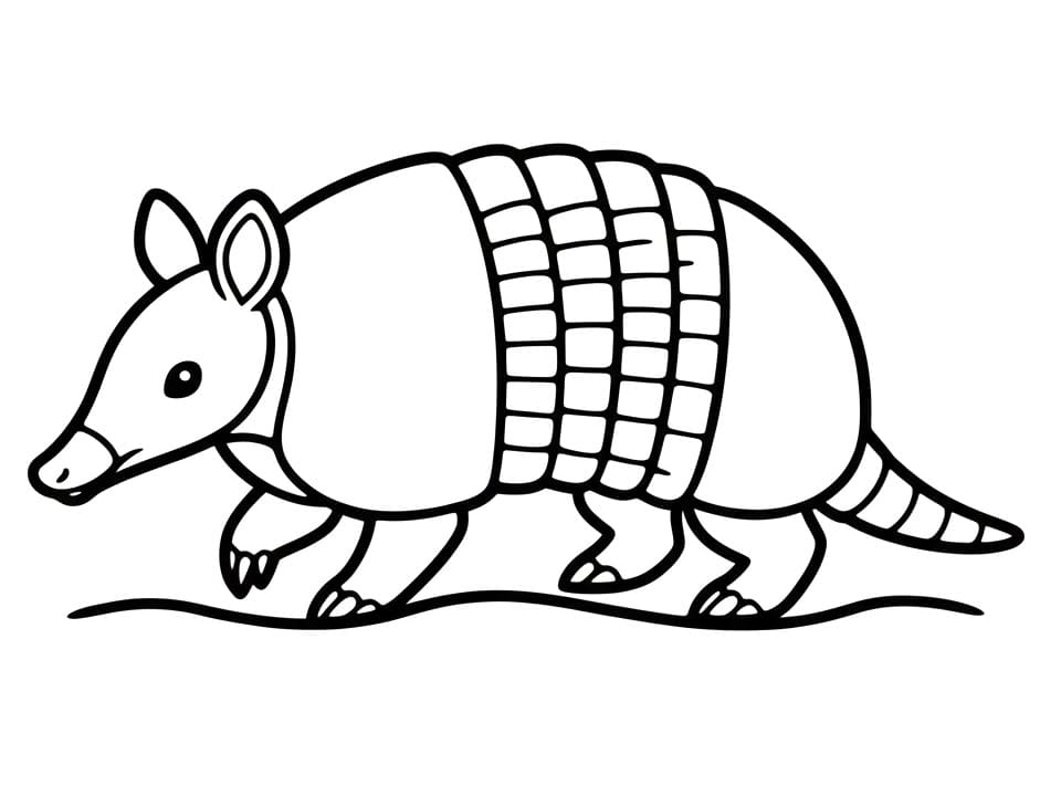 Coloriage Tatou Imprimable