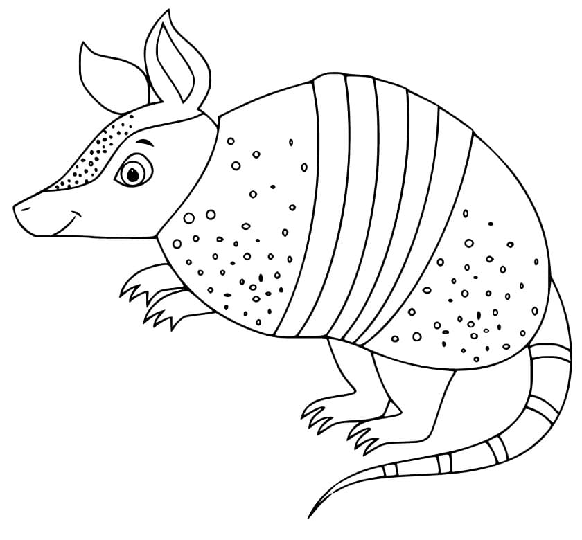 Coloriage Tatou Pour les Enfants