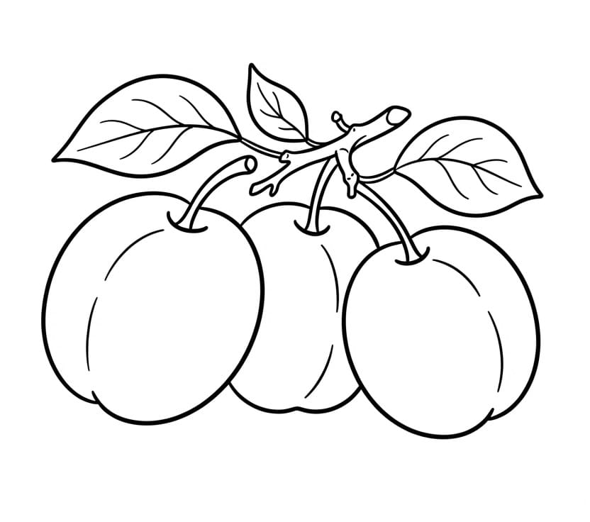 Coloriage Prune