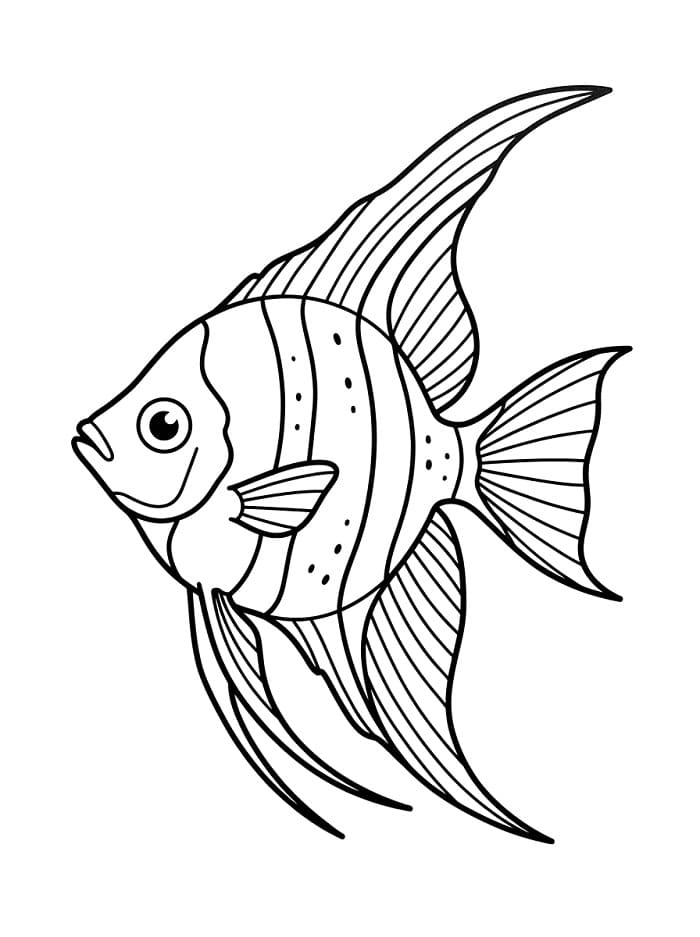 Coloriage Un poisson-ange ordinaire