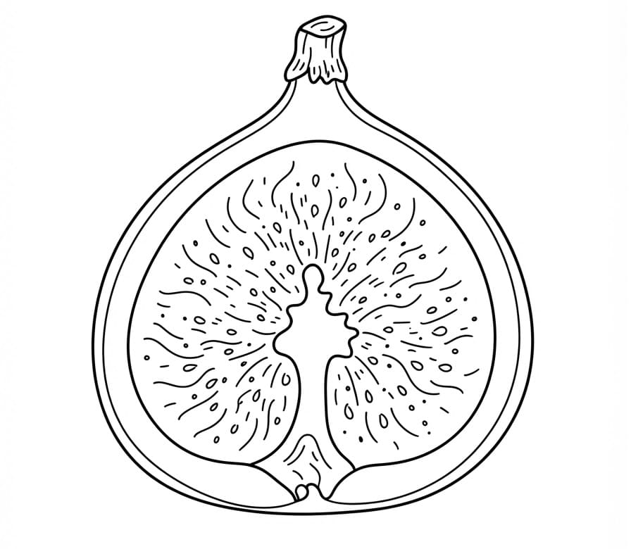 Coloriage Une demi-figue