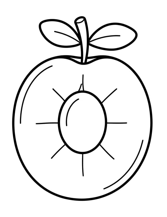 Coloriage Une moitié de prune