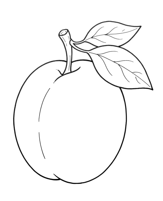 Coloriage Une prune