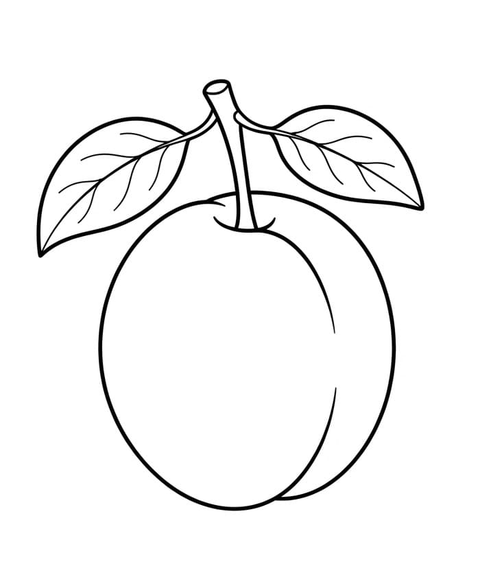 Coloriage Une simple prune