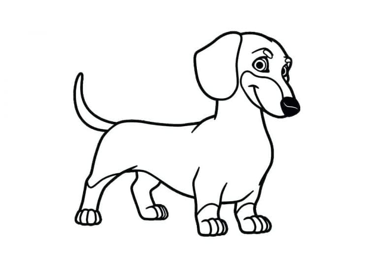 Coloriage Adorable teckel
