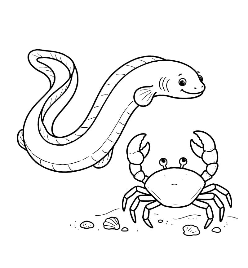 Coloriage Anguille et crabe