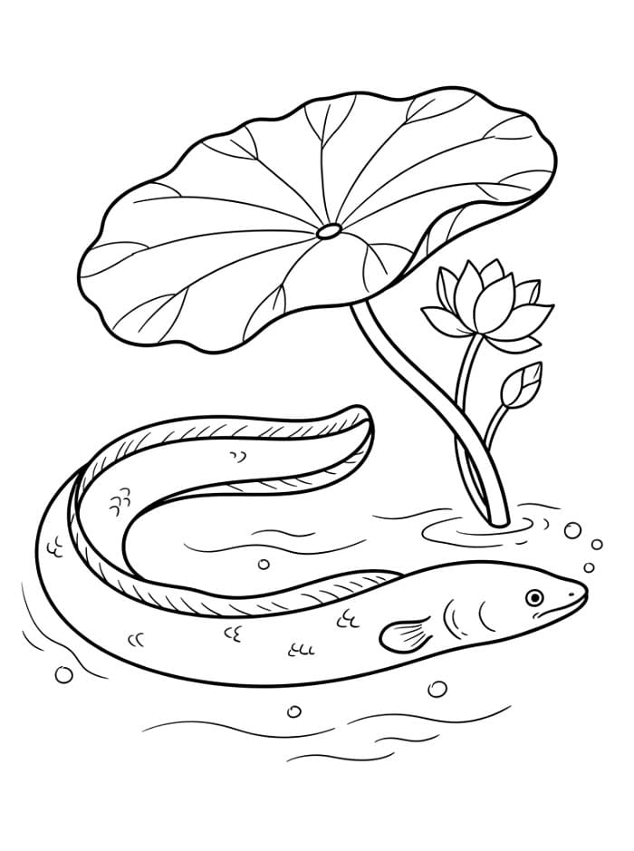 Coloriage Anguille Gratuit Pour les Enfants